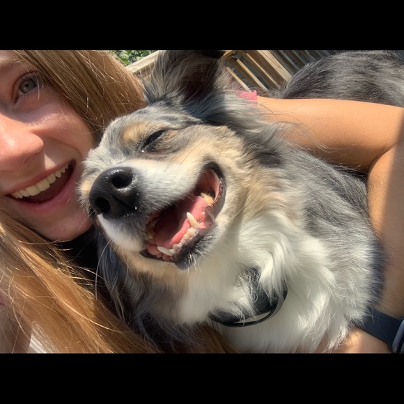 Meet your Posher, Taylor - Picture 3 of 4